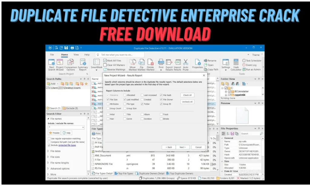 Duplicate File Detective Enterprise Crack