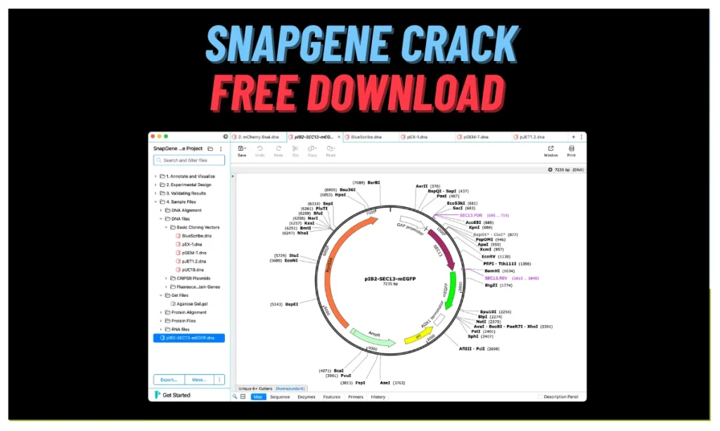 SnapGene Free Download